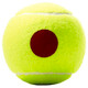 Detské tenisové loptičky Wilson Roland Garros Red (3 ks)
