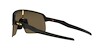 Športové slnečné okuliare Oakley Sutro Lite Matte Carbon/Prizm 24k