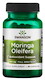 Swanson Moringou oleifera 400 mg 60 kapsúl